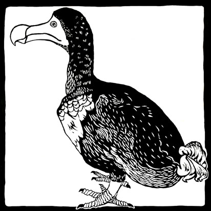dodo black and white